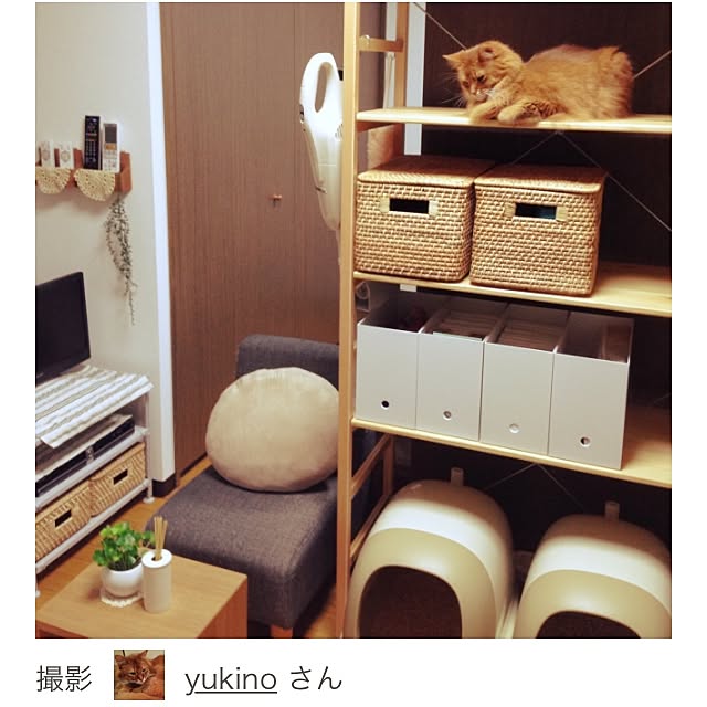 yukinoさんの実例写真