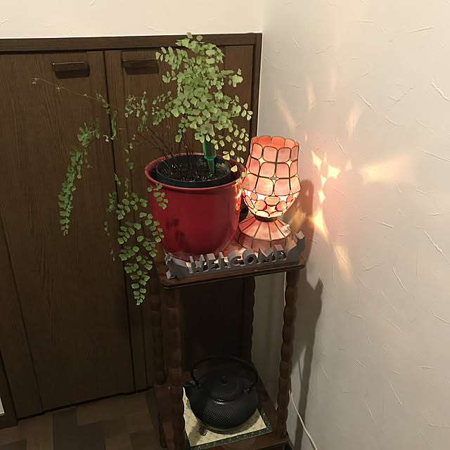 Laylaさんの実例写真
