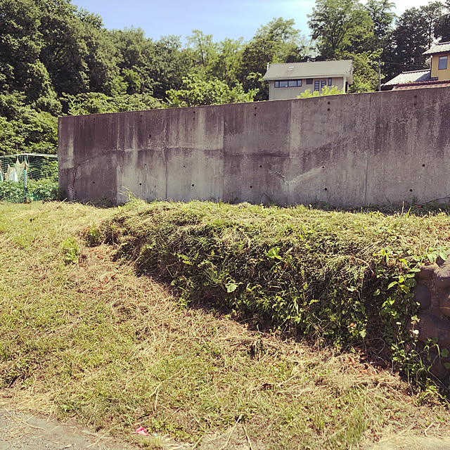 部屋全体のインテリア実例 - 2020-06-18 12:40:58