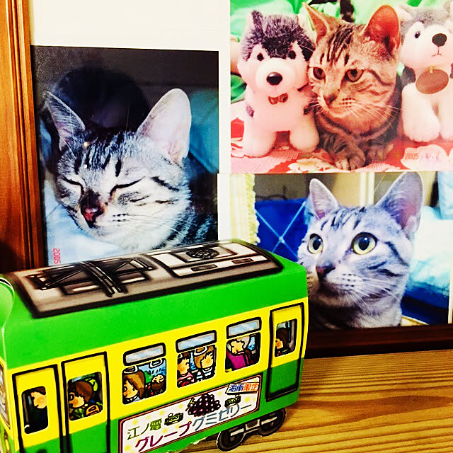 pcu110さんの実例写真