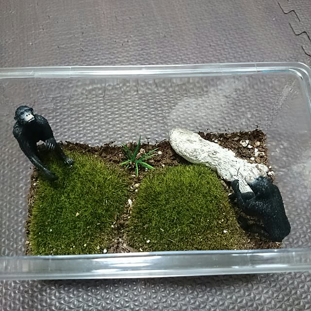 hirokoさんの実例写真