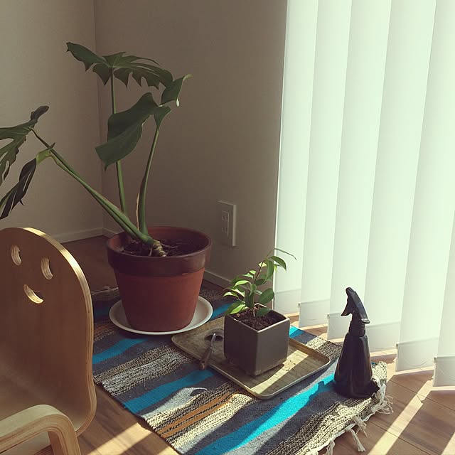tt001080さんの実例写真