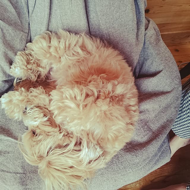 makaronさんの実例写真