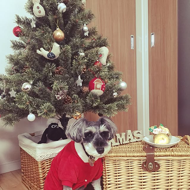 tamaeさんの実例写真