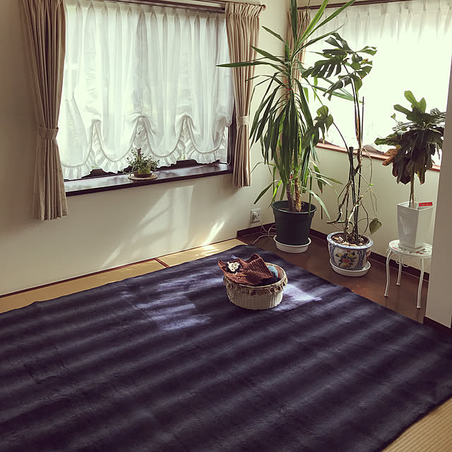 shizukaさんの実例写真