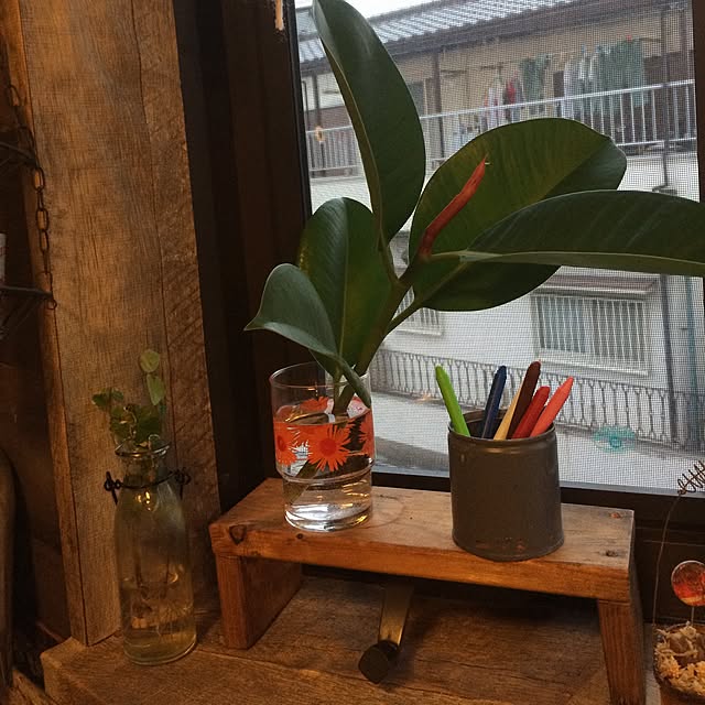 anz00さんの実例写真