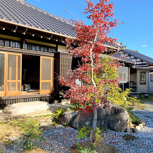 komemaruさんの部屋