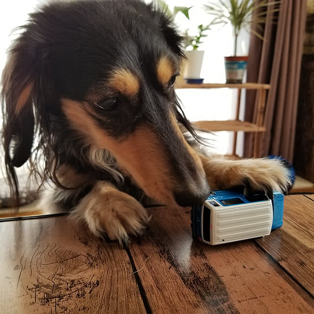 momozouさんの実例写真