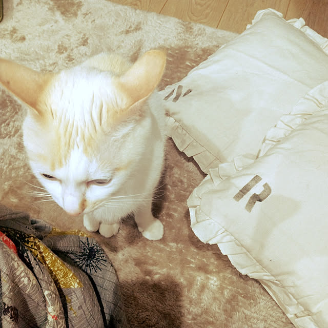 nrsim+kmymさんの実例写真