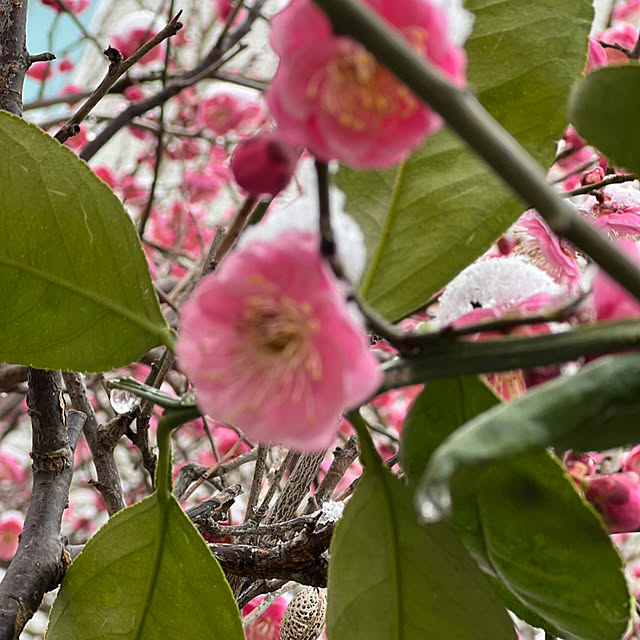 Aqettyさんの部屋