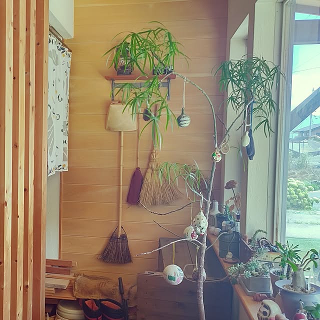 部屋全体/観葉植物のある暮らし/木の家/木が好き/木のある暮らし...などのインテリア実例 - 2023-07-21 10:33:52