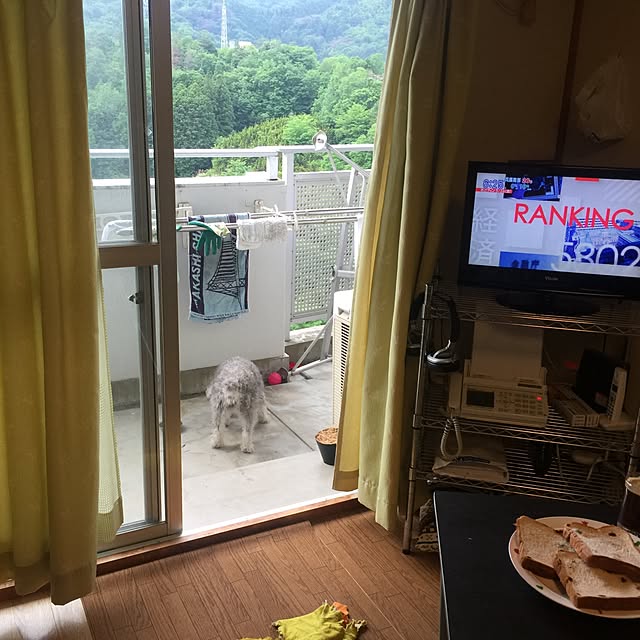 実例写真