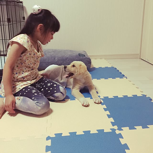 suti05さんの実例写真
