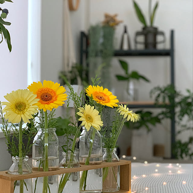 ダイニング/梅雨/花のある暮らし/暮らしを楽しむ/植物のある暮らし...などのインテリア実例 - 2019-07-23 11:49:24