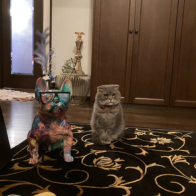 naoさんの実例写真