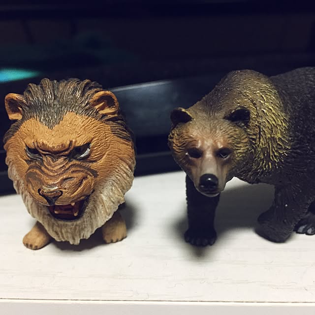mariさんの実例写真