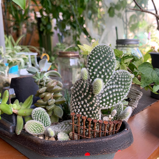 Aqettyさんの部屋