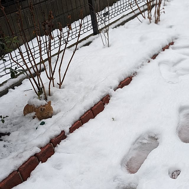 reeさんの実例写真