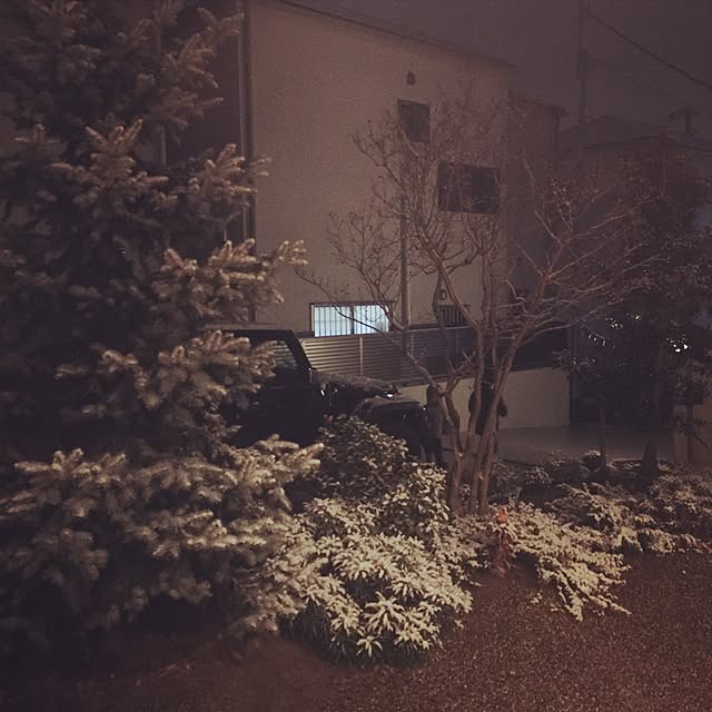 Kumiさんの実例写真