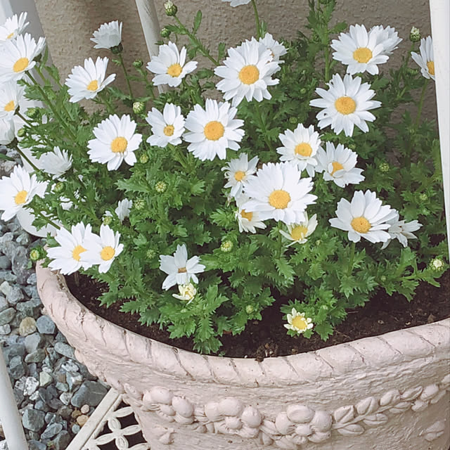 me-koさんの実例写真