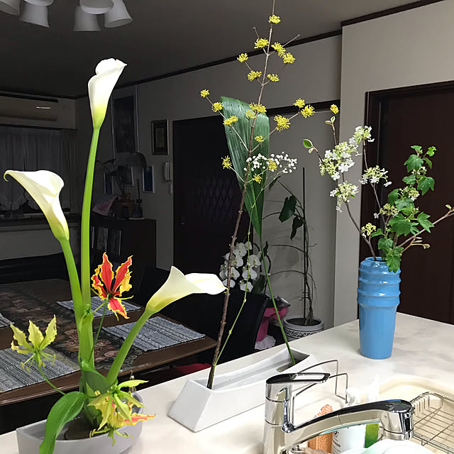 shizukaさんの実例写真