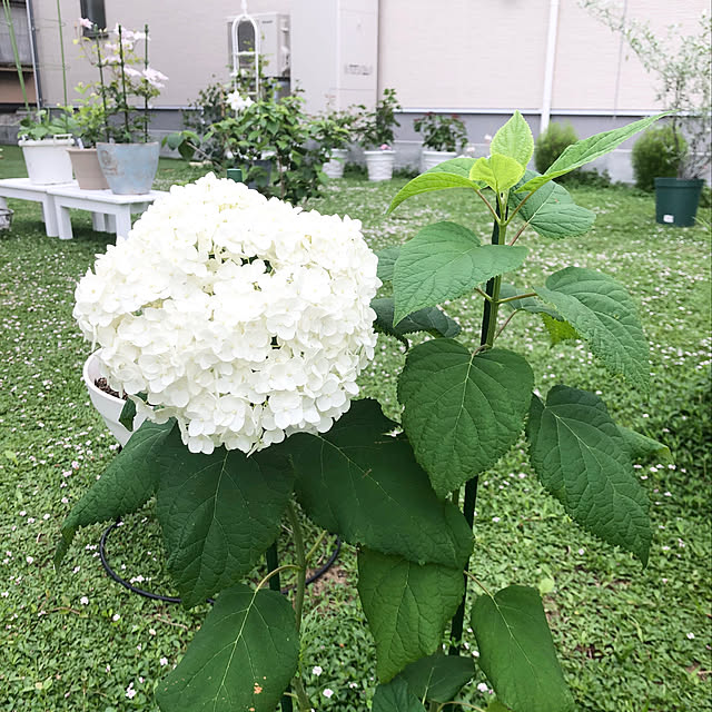 yukiminさんの実例写真