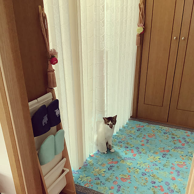 haruminさんの実例写真