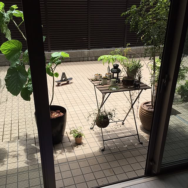 部屋全体/ベランダの風景。/観葉植物/ガーデニングのインテリア実例 - 2016-06-19 11:42:58