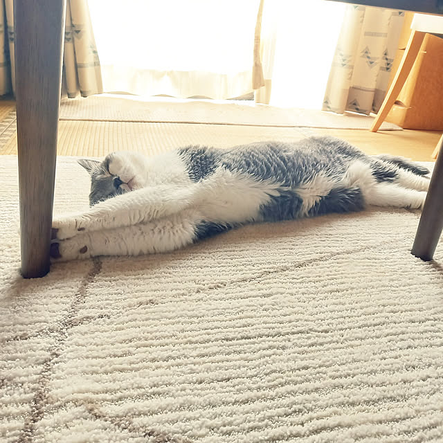 rhuさんの実例写真