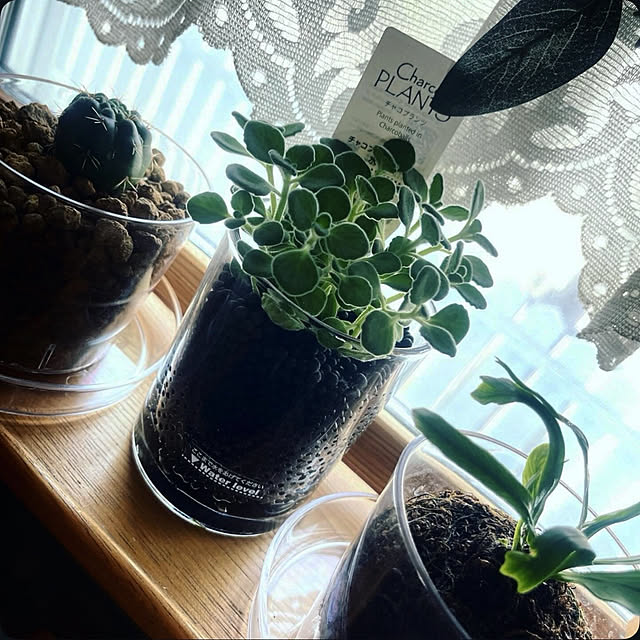 Ohigeさんのお部屋の写真