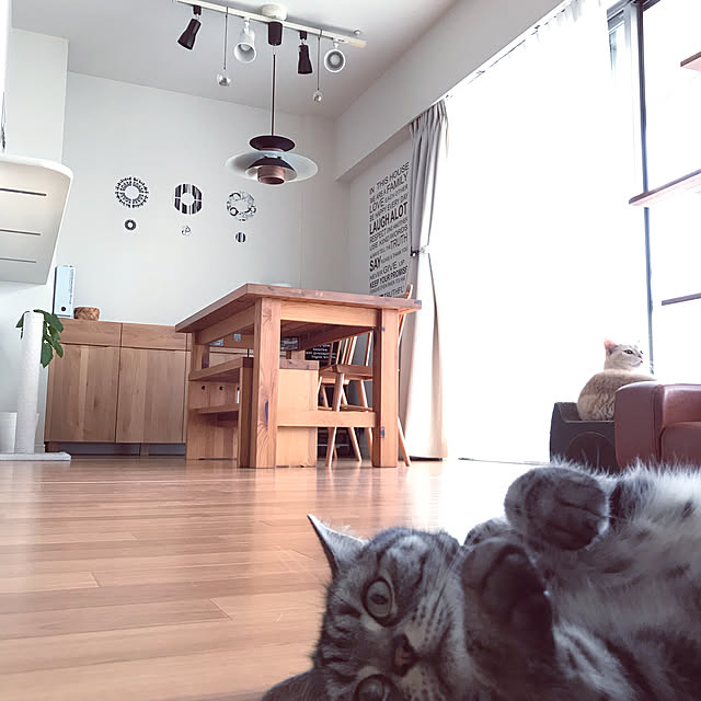 hiyupan88さんの実例写真