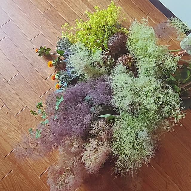 monnさんの部屋