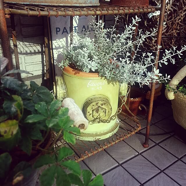 amamiさんの実例写真