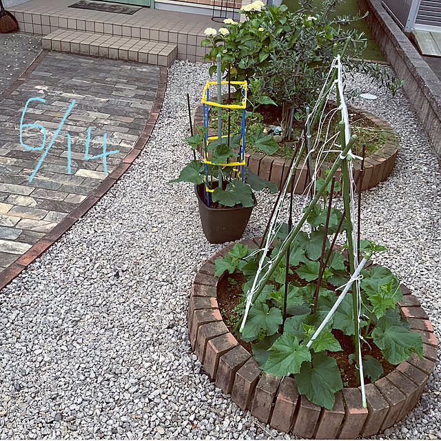 chiiyanさんの部屋