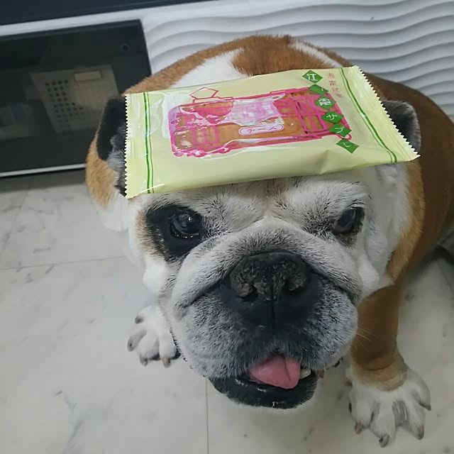 AandPさんの実例写真