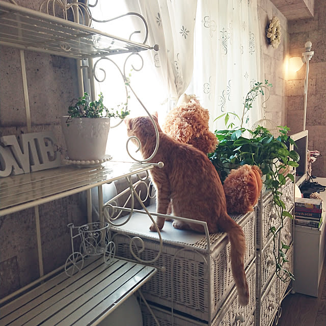 asuminさんの実例写真