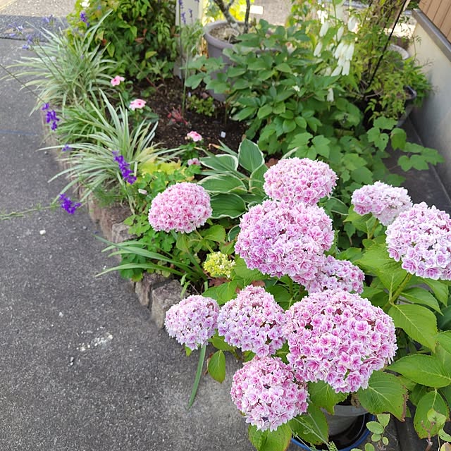 mutsuさんの実例写真