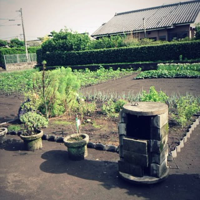 MMさんの実例写真
