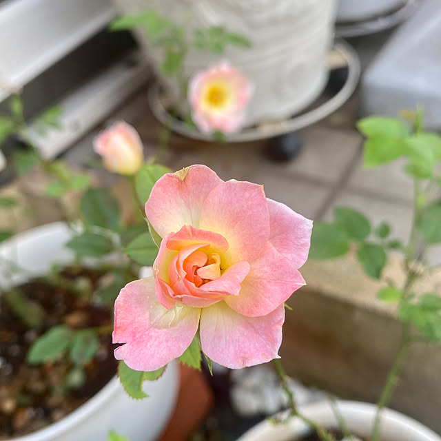 YuuKoさんの部屋