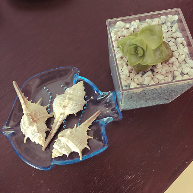 机/100均/観葉植物のインテリア実例 - 2018-07-25 19:42:28