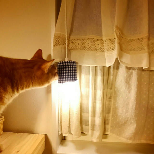 mayutan.さんの実例写真