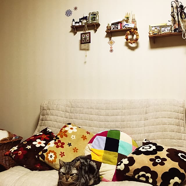 kocchanさんの実例写真