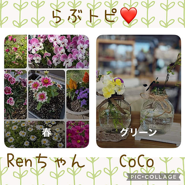 CoCo0617さんのお部屋の写真