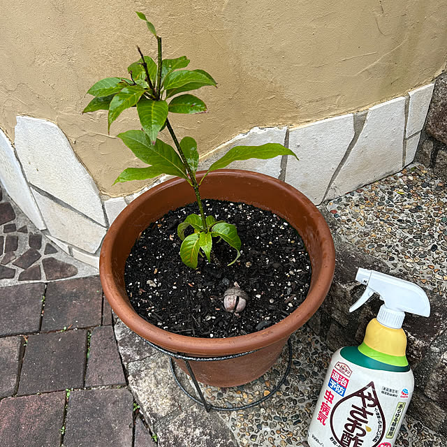 haruさんの実例写真