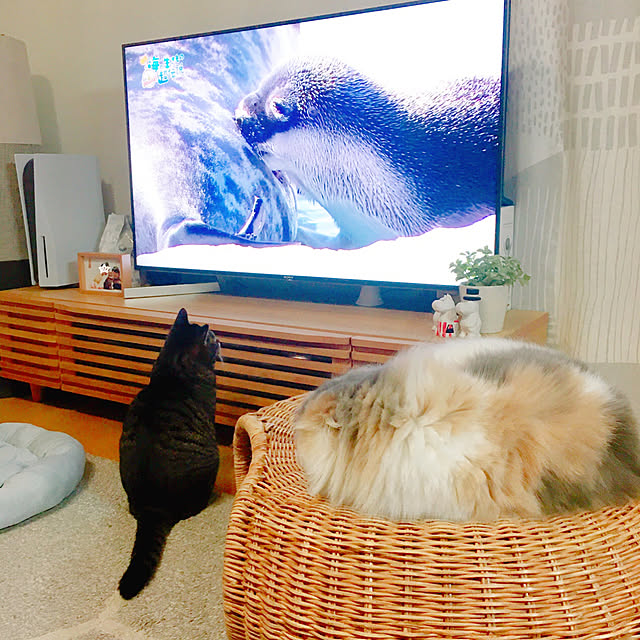 anさんの実例写真