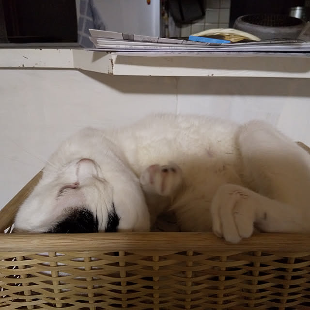 yukieさんの実例写真