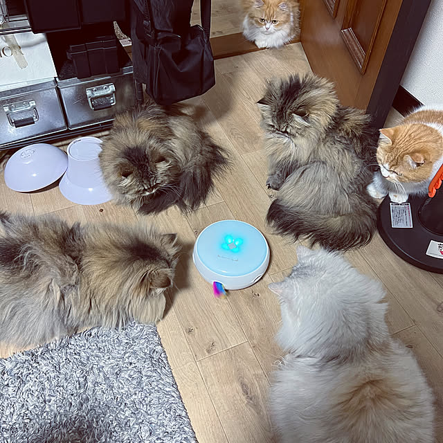 wb-noririnさんの実例写真