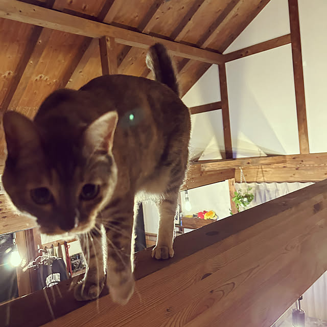 PU930さんの実例写真