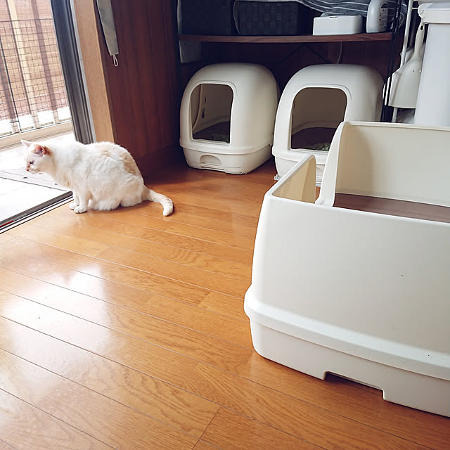 nachiさんの実例写真