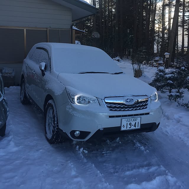 jnjnforesterさんの実例写真